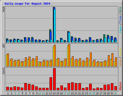 Daily usage for August 2024