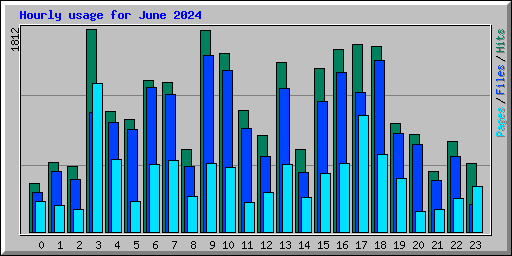 Hourly usage for June 2024