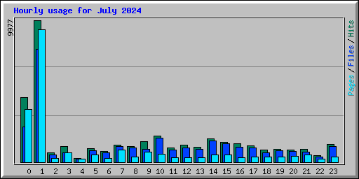 Hourly usage for July 2024