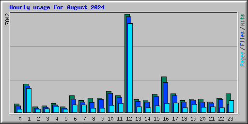 Hourly usage for August 2024