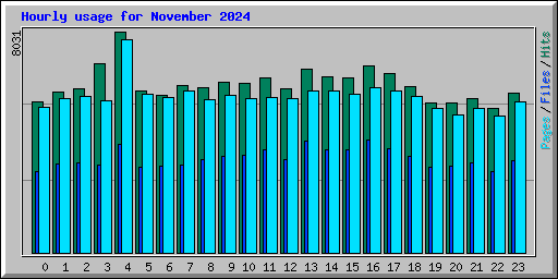 Hourly usage for November 2024