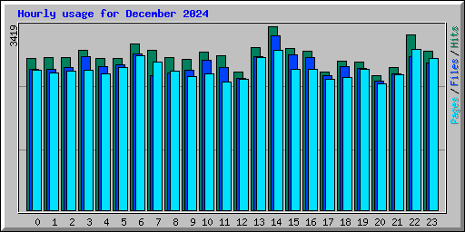 Hourly usage for December 2024