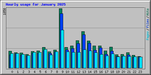 Hourly usage for January 2025