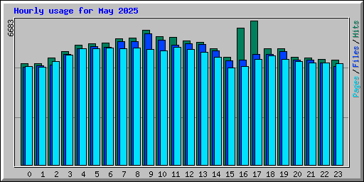 Hourly usage for May 2025