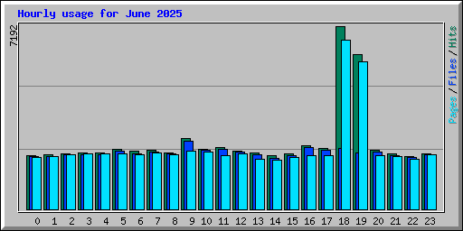 Hourly usage for June 2025