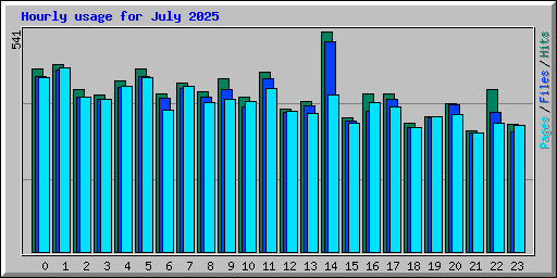 Hourly usage for July 2025