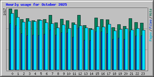 Hourly usage for October 2025
