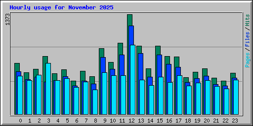 Hourly usage for November 2025