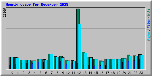 Hourly usage for December 2025