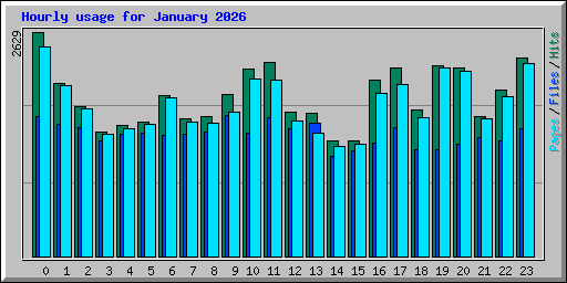 Hourly usage for January 2026