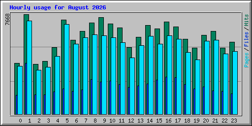 Hourly usage for August 2026