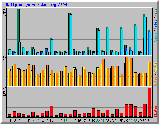 Daily usage for January 2024