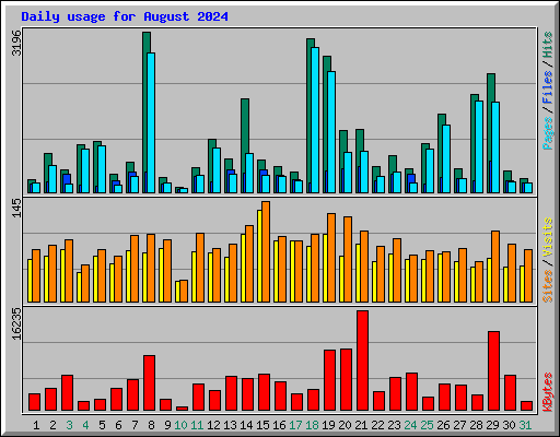 Daily usage for August 2024