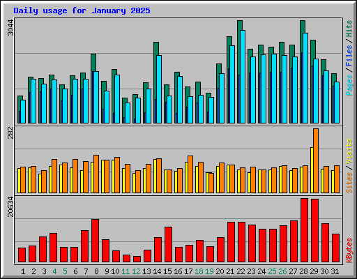 Daily usage for January 2025
