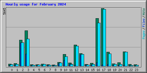 Hourly usage for February 2024