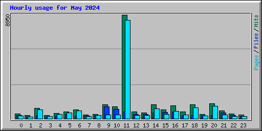 Hourly usage for May 2024