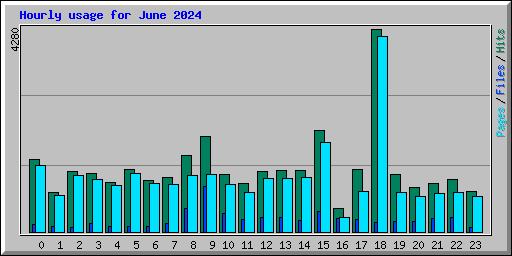 Hourly usage for June 2024