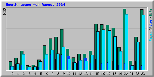 Hourly usage for August 2024