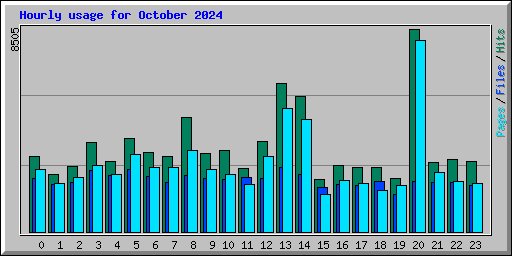 Hourly usage for October 2024