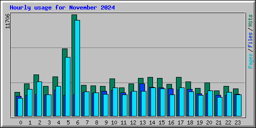 Hourly usage for November 2024
