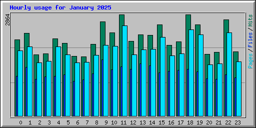 Hourly usage for January 2025