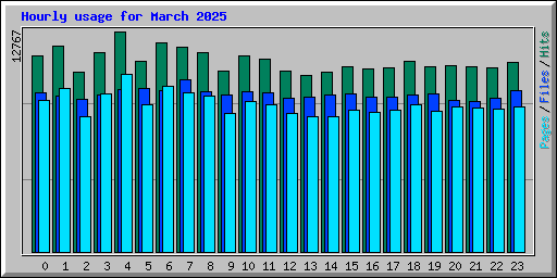 Hourly usage for March 2025