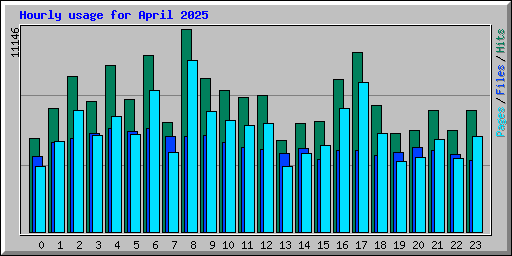 Hourly usage for April 2025