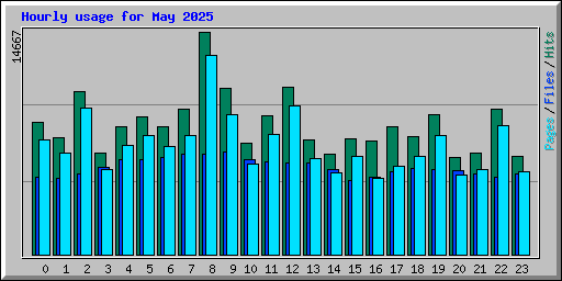 Hourly usage for May 2025