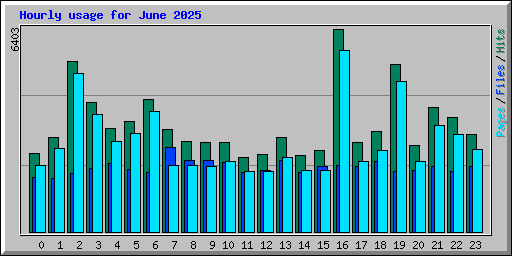 Hourly usage for June 2025