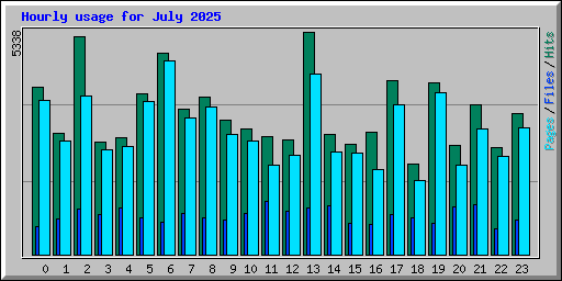 Hourly usage for July 2025