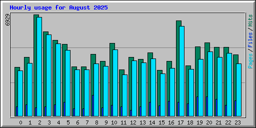 Hourly usage for August 2025