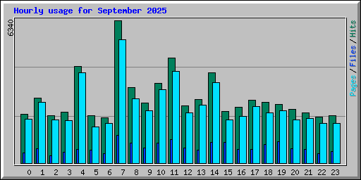 Hourly usage for September 2025