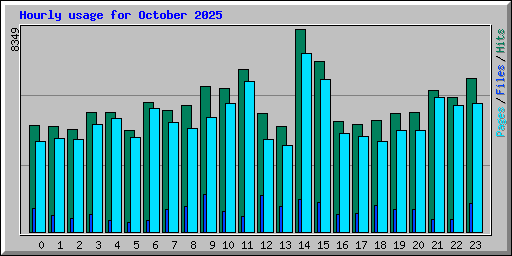 Hourly usage for October 2025