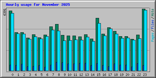 Hourly usage for November 2025