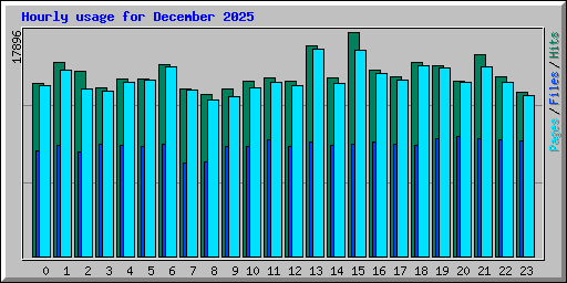 Hourly usage for December 2025