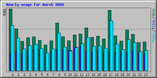 Hourly usage for March 2026