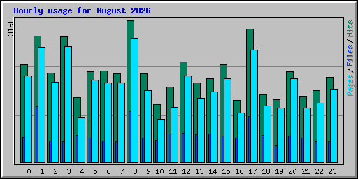 Hourly usage for August 2026